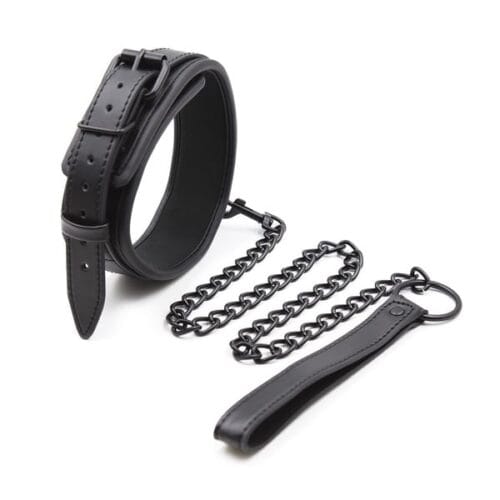 Adjustable Collar & Metal Chain Leash